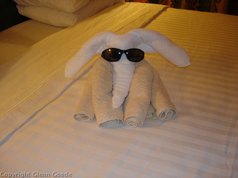 Freedom Cruise 2-24-08 007